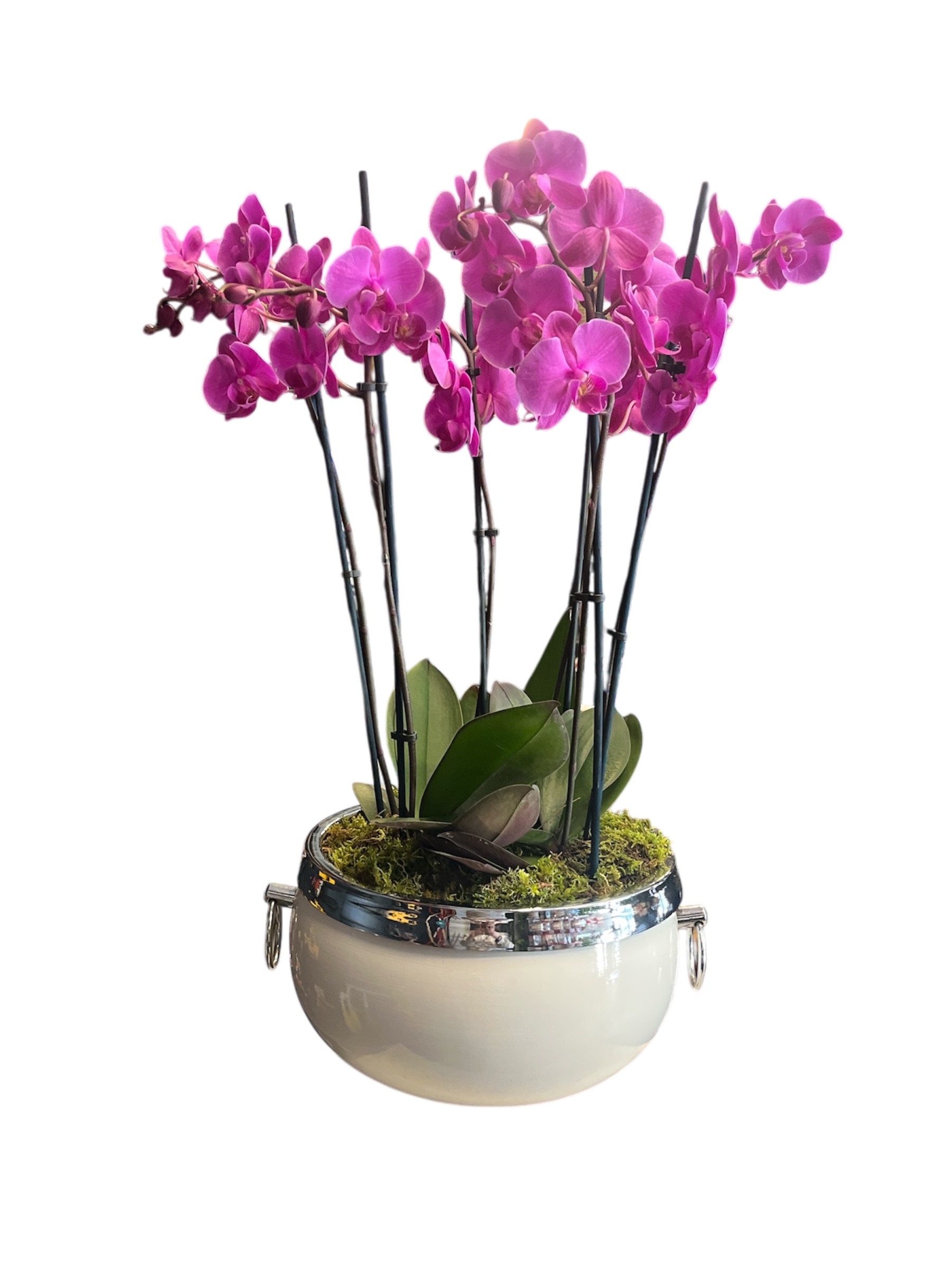 ORKİDE ARAJMAN ÖZEL TASARIM SAKSIDA